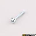 Robot mower housing screw XNUMXxXNUMX mm torx head Husqvarna, Gardena, McCulloch...