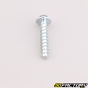 Robot mower housing screw XNUMXxXNUMX mm torx head Husqvarna, Gardena, McCulloch...