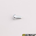 Robot mower housing screw XNUMXxXNUMX mm torx head Husqvarna, Gardena, McCulloch...