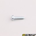 Robot mower housing screw XNUMXxXNUMX mm torx head Husqvarna, Gardena, McCulloch...