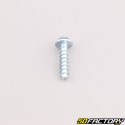 Robot mower housing screw XNUMXxXNUMX mm torx head Husqvarna, Gardena, McCulloch...