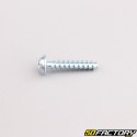 Robot mower housing screw 4x20 mm torx head Husqvarna, Gardena, McCulloch...