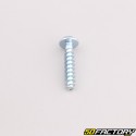 Robot mower housing screw 4x20 mm torx head Husqvarna, Gardena, McCulloch...