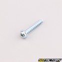 Robot mower housing screw 4x22 mm torx head Husqvarna, Gardena, McCulloch...