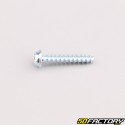 Robot mower housing screw 4x22 mm torx head Husqvarna, Gardena, McCulloch...