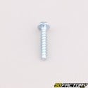 Robot mower housing screw 4x22 mm torx head Husqvarna, Gardena, McCulloch...