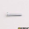 Robot mower housing screw XNUMXxXNUMX mm torx head Husqvarna, Gardena, McCulloch...