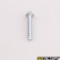 Robot mower housing screw XNUMXxXNUMX mm torx head Husqvarna, Gardena, McCulloch...