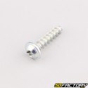 Robot mower housing screw 6x25 mm torx head Husqvarna, Gardena, McCulloch...