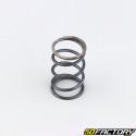 Clutch spring Vespa Cosa, GS 150, PX 200... (individually)