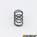 Clutch spring Vespa Cosa, GS 150, PX 200... (individually)