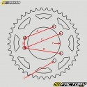 Rear sprocket 53 aluminum teeth 420 Derbi,  Rieju,  Yamaha,  Peugeot... Doppler  or