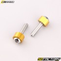 Rear brake master cylinder protection Doppler  or