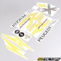 Decoration  kit Peugeot 103 RCX  X  Race gray and yellow