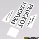 Decoration  kit Peugeot 103 RCX  X  Race gray and yellow