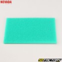 Honda GVX140, MTD 1P61FE, Kohler XT6... air filter with Nevada pre-filter