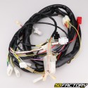 Electrical harness Derbi Senda,  Gilera SMT,  RCR (2004 - 2010)