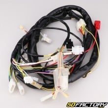 Wiring harness Derbi Senda,  Gilera SMT,  RCR (2004 - 2010)