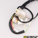 Electrical harness Derbi Senda,  Gilera SMT,  RCR (2004 - 2010)