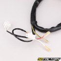 Electrical harness Derbi Senda,  Gilera SMT,  RCR (2004 - 2010)