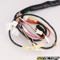 Electrical harness Derbi Senda,  Gilera SMT,  RCR (2004 - 2010)