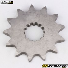 Roda dentada fora da caixa 13 dentes 520 Kawasaki Eliminator 250, GPZ 400... France Equipement