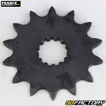 XNUMX tooth XNUMX box output sprocket Yamaha  YZF XNUMX, YFZ XNUMX, Fantic  XX XNUMX, XXF XNUMX... France Equipement