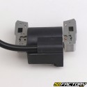 Briggs-Stratton XNUMX HP horizontal, vertical ignition coil (XNUMX mm center distance)