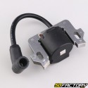 Honda GC135, GCV140, GCV160... ignition coil (center distance 57.5 mm)