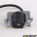 Honda GC135, GCV140, GCV160... ignition coil (center distance 57.5 mm)