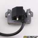 Honda GC135, GCV140, GCV160... ignition coil (center distance 57.5 mm)