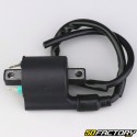 MBK ignition coil Nitro  XNUMX, Yamaha Xmax  XNUMX, Majesty  XNUMX ...