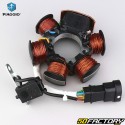 Ignition Stator  Piaggio Zip, NRG, Typhoon, Vespa  LX ... XNUMX XNUMXT