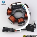 Ignition Stator  Piaggio Zip, NRG, Typhoon, Vespa  LX ... XNUMX XNUMXT