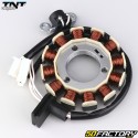 MBK Ocito ignition stator, Yamaha  Nmax TNT Original