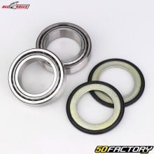 Cuscinetti piantone sterzo Kawasaki Z 900, ZX-7R, Suzuki VN1600... All Balls