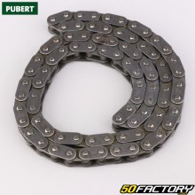 Power tiller transmission chain Pubert Nano, Staub STXNUMX, Husqvarna TFXNUMX...