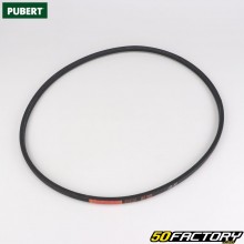 Pubert LB300x300mm belt