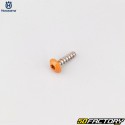 Screw for robot lawn mower 4x16 mm torx head Husqvarna orange