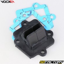 Caja de válvulas Minarelli horizontal y 1PE40QMB MBK Nitro,  OvettoKeeway TNT Motor... Voca Bestia tipo VForce  3