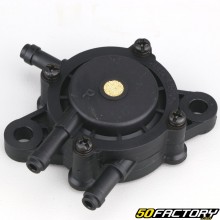 Pompe à essence Briggs-Stratton 31G700, Honda GC135, Kawasaki FH 500...