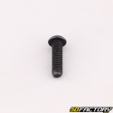 6x22 mm screw BTR rounded head class 10.9 black (individually)