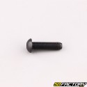 6x22 mm screw BTR rounded head class 10.9 black (individually)