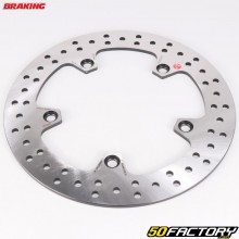 Rear brake disc BMW F 650 GS, F 800 GT, R NineT... Ø265 mm Braking